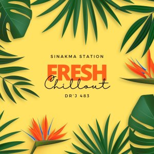 Album Fresh & Chill Out from DR'J 483