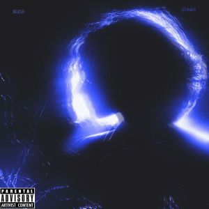 Album Bless (Explicit) from STINKS