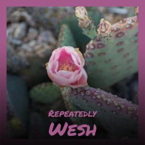 ดาวน์โหลดและฟังเพลง Repeatedly Wesh พร้อมเนื้อเพลงจาก Renan Malk