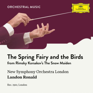 อัลบัม Rimsky Korsakov: The Snow Maiden: The Spring Fairy and the Birds ศิลปิน New Symphony Orchestra Of London