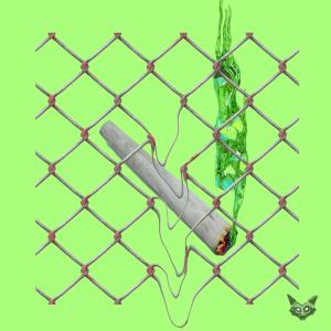 Listen to Los Llanos song with lyrics from Pseudo