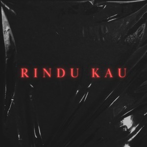 Album Rindu Kau from HVDI