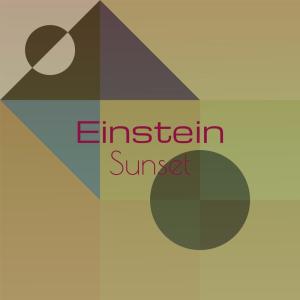 Various的专辑Einstein Sunset