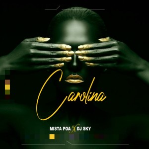 ดาวน์โหลดและฟังเพลง Carolina พร้อมเนื้อเพลงจาก Dj Sky