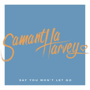 收聽Samantha Harvey的Say You Won't Let Go歌詞歌曲