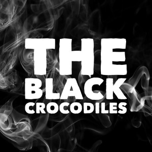 ดาวน์โหลดและฟังเพลง Animal พร้อมเนื้อเพลงจาก The Black Crocodiles