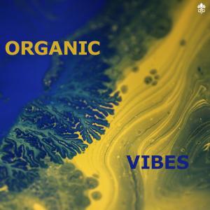 อัลบัม Organic Vibes ศิลปิน RadioNoize