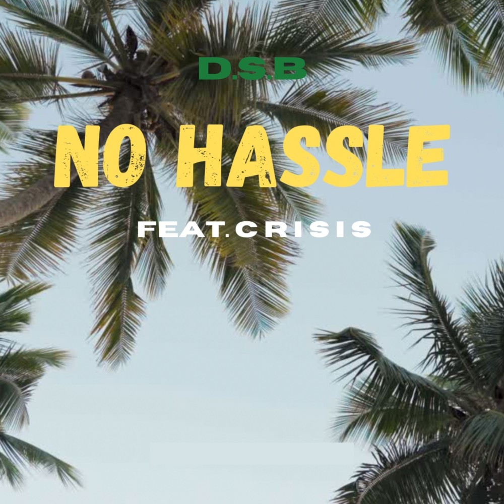 No Hassle (Explicit)