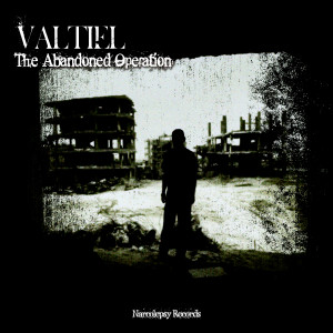 Listen to Remember the Pain (Original Mix) song with lyrics from Valtiel