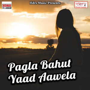 Listen to Jaiha Se Din Ba Rakhail song with lyrics from Videshi Lal Yadav