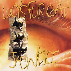 收聽Lucy Fur Coat的Insanity歌詞歌曲