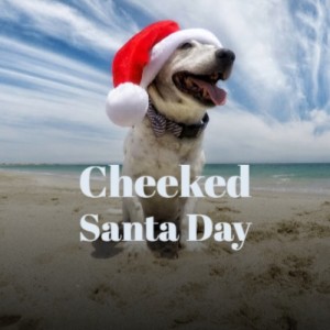 Listen to We Wish You a Merry Christmas song with lyrics from Traditional