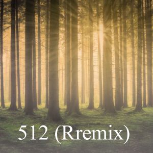 Dj Remix Mix的专辑512 (Rremix)