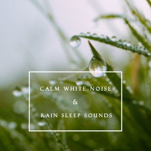 ดาวน์โหลดและฟังเพลง ASMR提升專注力的雨聲 พร้อมเนื้อเพลงจาก 贵族音乐ASMR