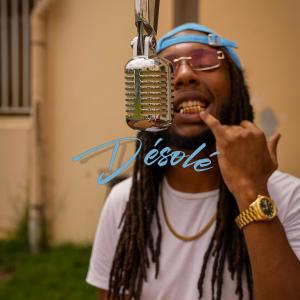 NV30的專輯DÉSOLÉ (Explicit)