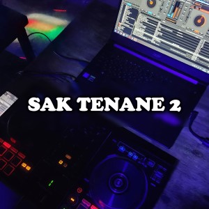 Listen to Saktenane 2 song with lyrics from DJ OSLO