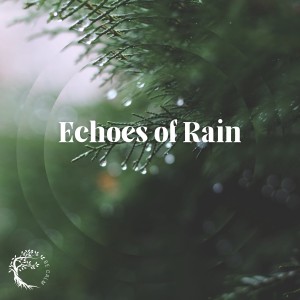 อัลบัม Echoes of Rain ศิลปิน Balsa Rain