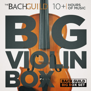 收聽Mischa Elman的Beethoven: Minuet in G Major歌詞歌曲