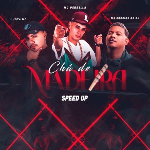 Listen to CHÁ DE MADEIRA (SPEED UP|Explicit) song with lyrics from MC Perrella