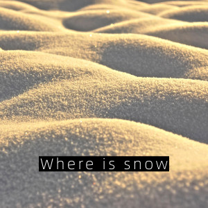 Album Where is snow from Silva