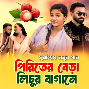 收聽Sumaiya的পিরিতের বেড়া লিচুর বাগানে歌詞歌曲