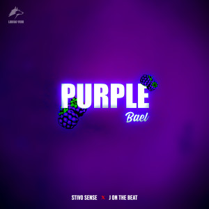 ดาวน์โหลดและฟังเพลง Purple พร้อมเนื้อเพลงจาก Stivo Sense