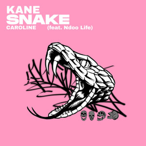 Listen to KANE SNAKE song with lyrics from Caroline