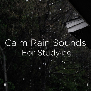 ดาวน์โหลดและฟังเพลง 睡眠のための雨の音 พร้อมเนื้อเพลงจาก Rain Sounds