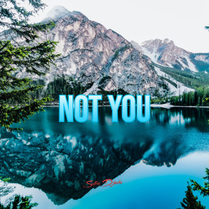 Listen to NOT YOU song with lyrics from SUTRIO D`JOCKS