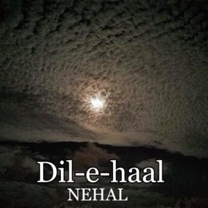 收听Nehal的Dil-e-Haal歌词歌曲