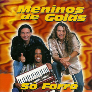 收聽Meninos de Goias的Voa Beija Flor歌詞歌曲