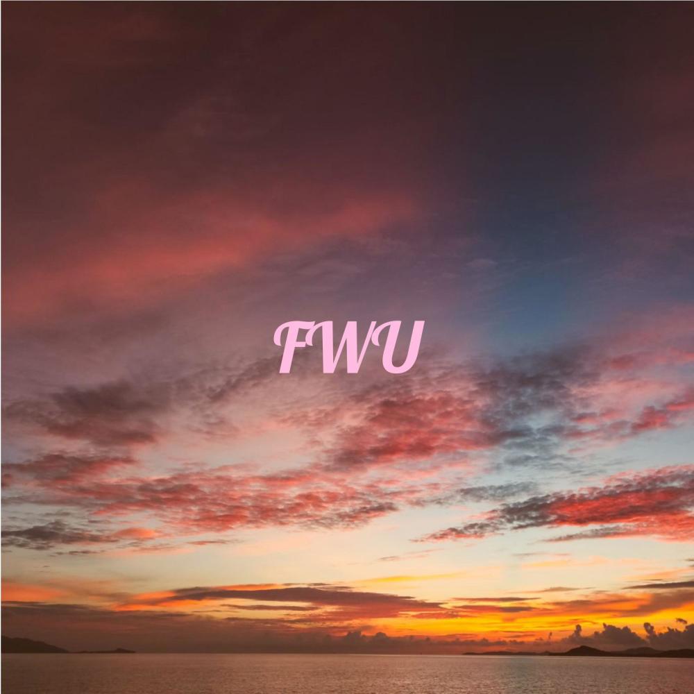 FWU (feat. PierreDream & Boy2Hype) (Explicit)