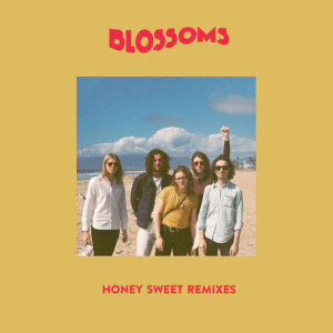 ดาวน์โหลดและฟังเพลง Honey Sweet (Luttrell Remix) พร้อมเนื้อเพลงจาก Blossoms