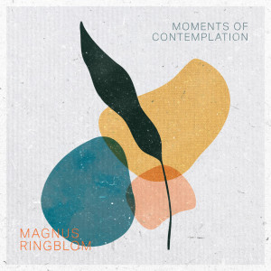 Listen to Moments of Contemplation song with lyrics from Magnus Ringblom