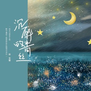 ดาวน์โหลดและฟังเพลง 沉醉的青丝 พร้อมเนื้อเพลงจาก 林宝馨