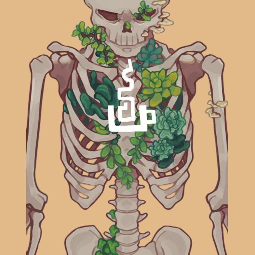 Bones