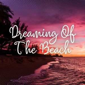 Album Dreaming Of The Beach from Hawaiian Surfers