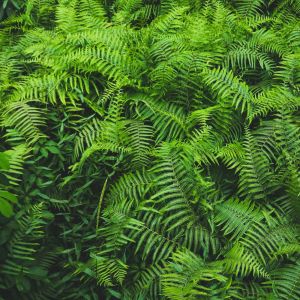 Listen to Pulsating Spirals song with lyrics from Relaxing Spa Music