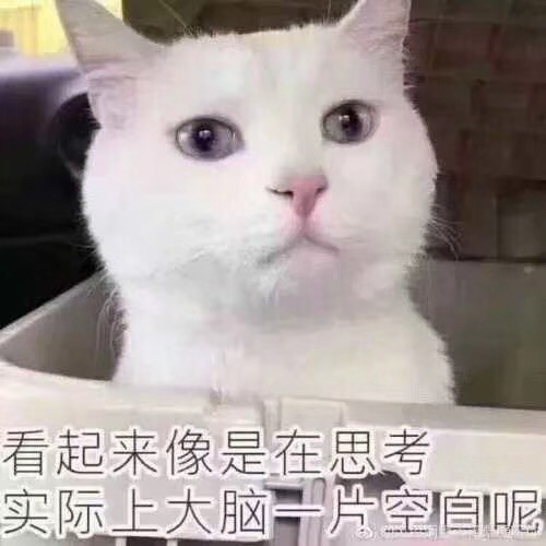 陈全