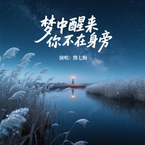 Album 梦中醒来你不在身旁 from 