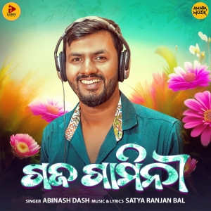 Listen to Gaja Gamini song with lyrics from Abinash Dash