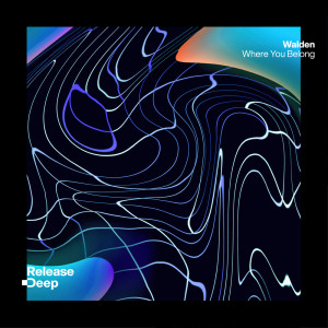 收听Walden的Where You Belong (Radio Edit)歌词歌曲