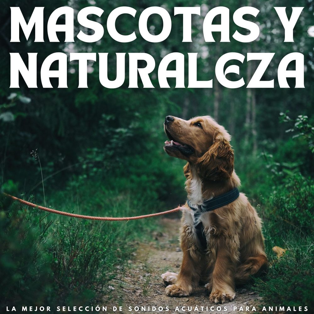 Aullidos Y Ladridos