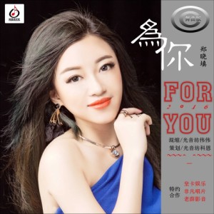 光音坊唱片的专辑为你2016 (DJ版)