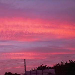 Dengarkan lagu broken promises(feat. navgod, Noya Clarissa & echi) nyanyian mis4ortune dengan lirik