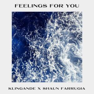 收聽Klingande的Feelings for You歌詞歌曲