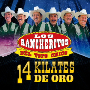 ดาวน์โหลดและฟังเพลง Preguntas Parecidas พร้อมเนื้อเพลงจาก Los Rancheritos Del Topo Chico