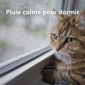 Bruit de Pluie et Musique pour Dormir的專輯Pluie calme pour dormir