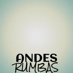 Album Andes Rumbas oleh Various