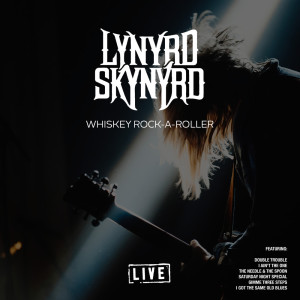 ดาวน์โหลดและฟังเพลง Simple Man (Live) พร้อมเนื้อเพลงจาก Lynyrd Skynyrd